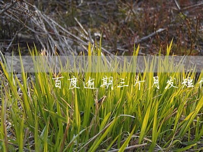 百度逾期三个月发短信说上门 百度逾期三个月发短信说上门