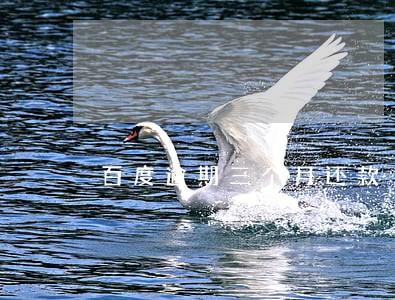 百度逾期三个月还款 百度逾期三个月还款