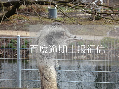 百度逾期上报征信 百度逾期上报征信