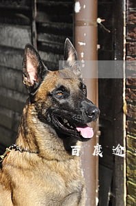 百度逾期严重 百度逾期严重