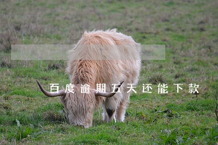百度逾期五天还能下款 百度逾期五天还能下款