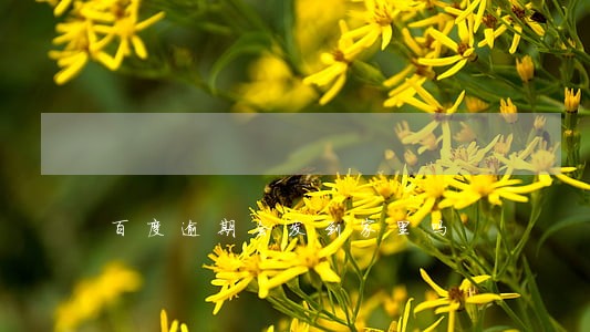 百度逾期会发到家里吗 百度逾期会发到家里吗