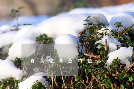 百度逾期会打电话吗 百度逾期会打电话吗