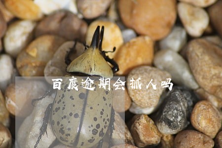 百度逾期会抓人吗 百度逾期会抓人吗