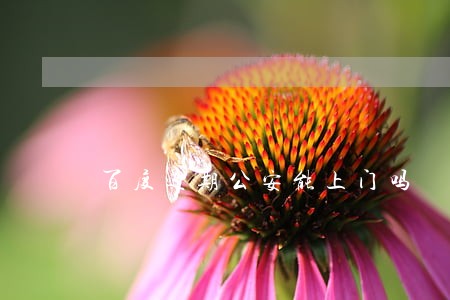 百度逾期公安能上门吗 百度逾期公安能上门吗