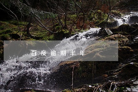 百度逾期半年 百度逾期半年