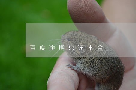 百度逾期只还本金 百度逾期只还本金