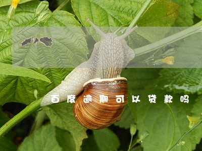 百度逾期可以贷款吗 百度逾期可以贷款吗