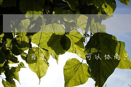 百度逾期多久可以协商只还本金 百度逾期多久可以协商只还本金
