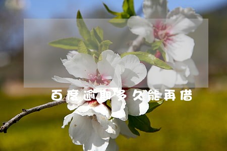 百度逾期多久能再借 百度逾期多久能再借