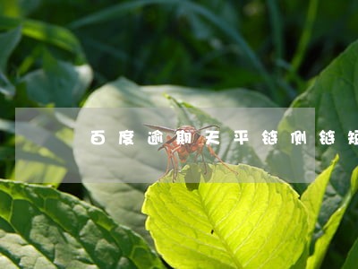 百度逾期天平链侧链短信 百度逾期天平链侧链短信
