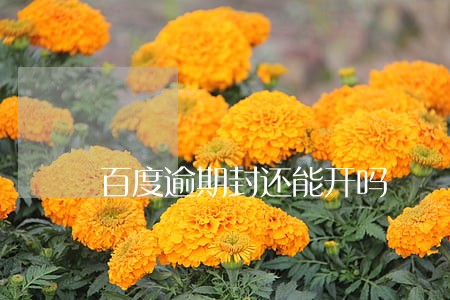 百度逾期封还能开吗 百度逾期封还能开吗
