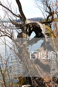 百度逾期怎么还债 百度逾期怎么还债