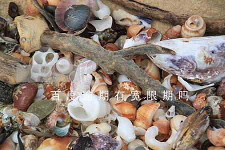百度逾期有宽限期吗