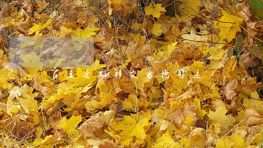 百度逾期移交当地司法