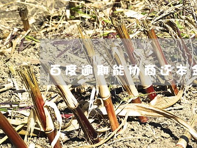 百度逾期能协商还本金吗 百度逾期能协商还本金吗