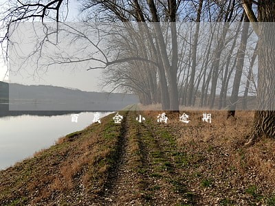 百度金小满逾期 百度金小满逾期