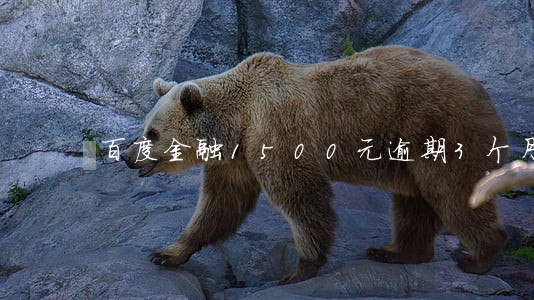 百度金融1500元逾期3个月 百度金融1500元逾期3个月