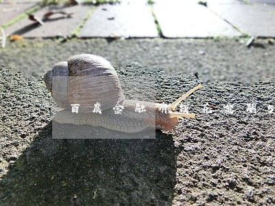 百度金融有钱花逾期500元 百度金融有钱花逾期500元