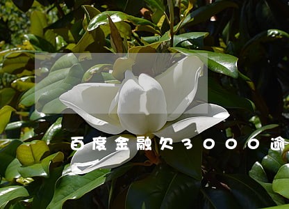 百度金融欠3000逾期两年 百度金融欠3000逾期两年