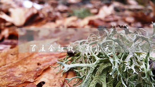 百度金融能逾期几天 百度金融能逾期几天