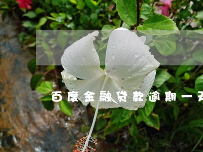 百度金融贷款逾期一天 百度金融贷款逾期一天