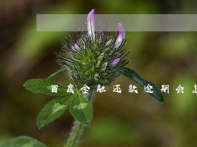 百度金融还款逾期会怎么样 百度金融还款逾期会怎么样
