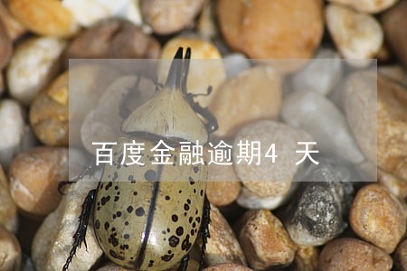 百度金融逾期4天 百度金融逾期4天