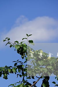 百度金融逾期800没还 百度金融逾期800没还