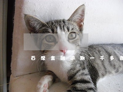 百度金融逾期一千多会怎样