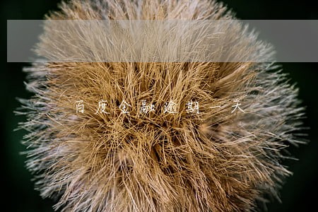 百度金融逾期一天