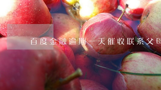 百度金融逾期一天催收联系父母