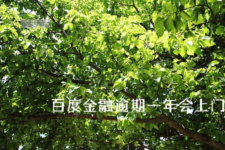 百度金融逾期一年会上门吗