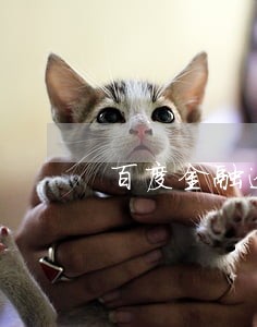 百度金融逾期七万 百度金融逾期七万