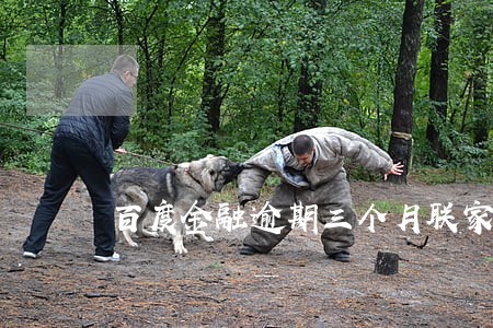 百度金融逾期三个月联家人 百度金融逾期三个月联家人