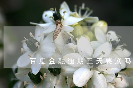 百度金融逾期三天要紧吗 百度金融逾期三天要紧吗