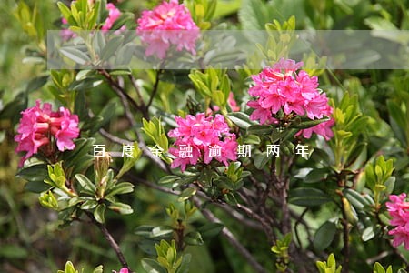 百度金融逾期两年 百度金融逾期两年