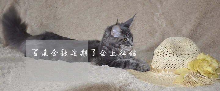 百度金融逾期了会上征信