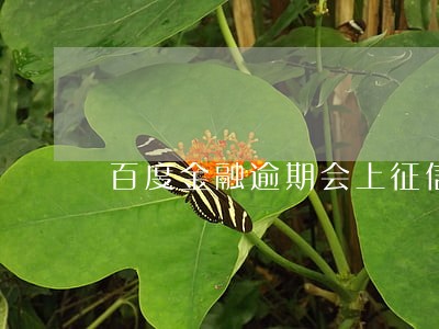 百度金融逾期会上征信 百度金融逾期会上征信