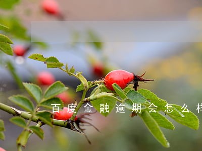 百度金融逾期会怎么样 百度金融逾期会怎么样