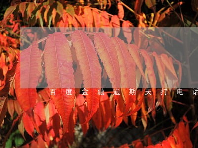百度金融逾期天打电话 百度金融逾期天打电话