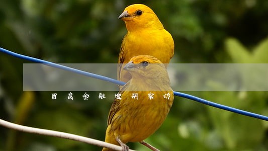 百度金融逾期家访 百度金融逾期家访