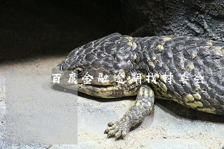 百度金融逾期找村委会 百度金融逾期找村委会