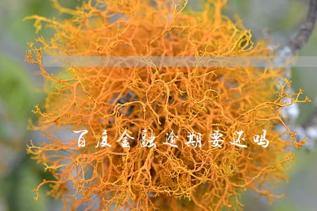 百度金融逾期要还吗 百度金融逾期要还吗