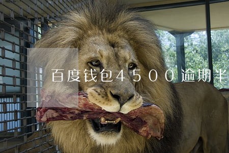 百度钱包4500逾期半年 百度钱包4500逾期半年