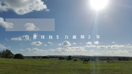 百度钱包5万逾期2年 百度钱包5万逾期2年