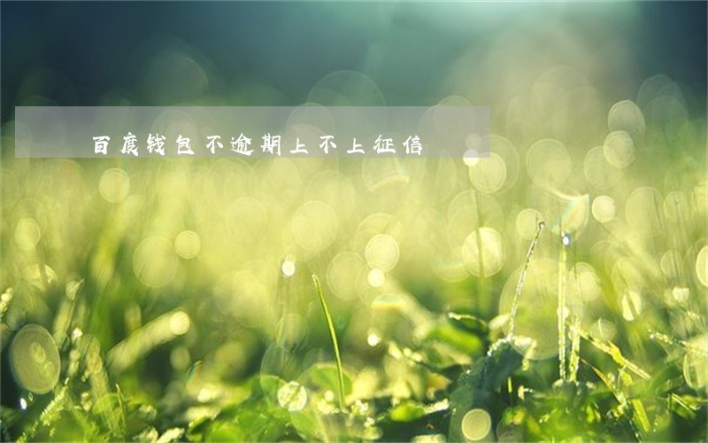 百度钱包不逾期上不上征信 百度钱包不逾期上不上征信