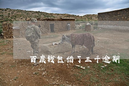 百度钱包借了三千逾期 百度钱包借了三千逾期