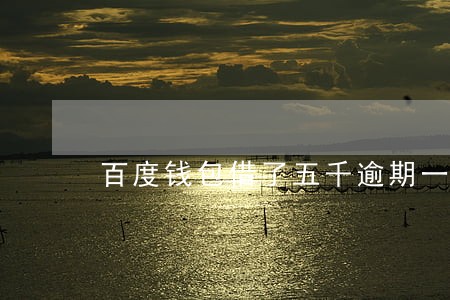 百度钱包借了五千逾期一年 百度钱包借了五千逾期一年