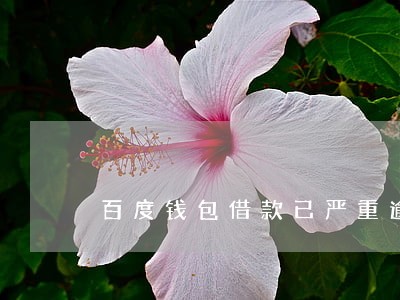 百度钱包借款已严重逾期 百度钱包借款已严重逾期